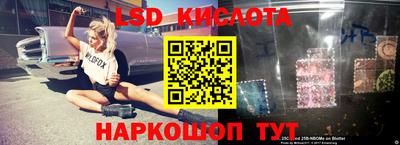 шишки Волжский
