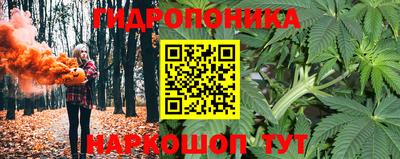 крисы Волжск