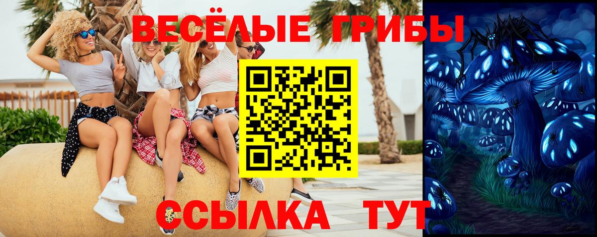 Галлюциногенные грибы Psilocybe Ачхой-Мартан