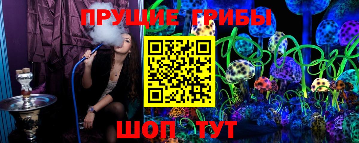 Ачхой-Мартан  Псилоцибиновые грибы Cubensis  Вход с VPN  Галлюциногенные грибы MAGIC MUSHROOMS 